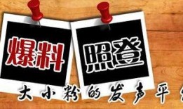 最新散兵爆料新闻,揭秘游戏内神秘角色与剧情走向